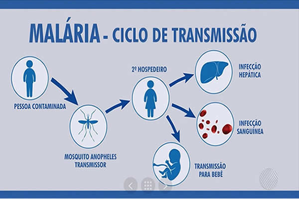 Previna-se: A terrível malária